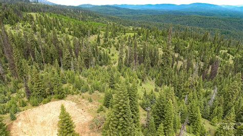 undeveloped land for sale in idaho